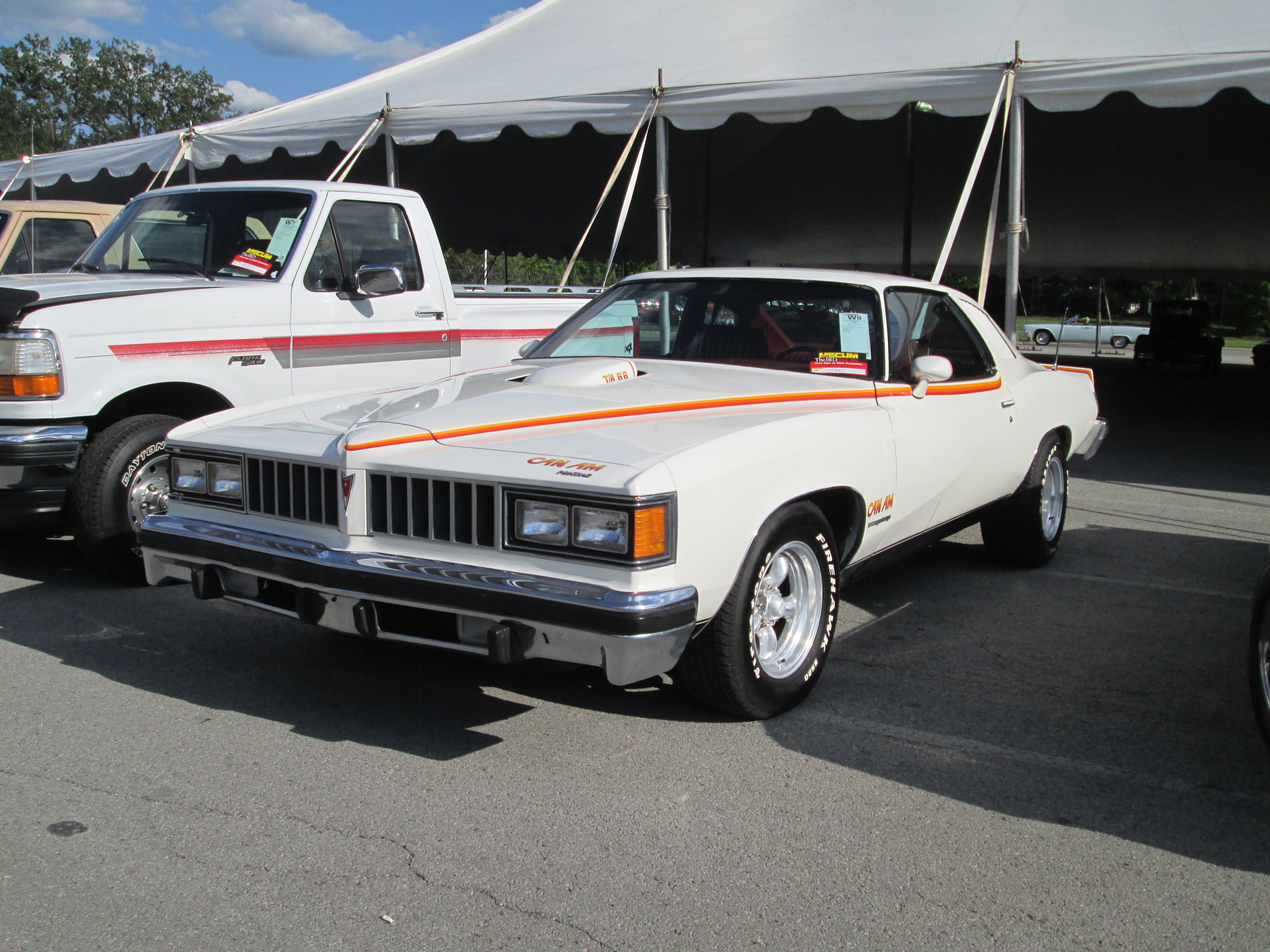 Photo of a 1973 Pontiac Lemans