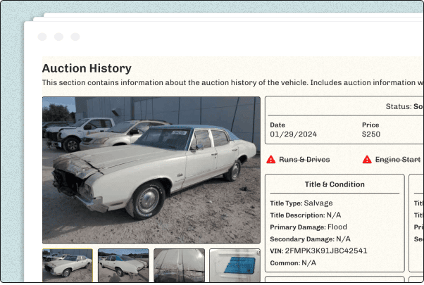 carfax for 13 digit and 11 digit VINs