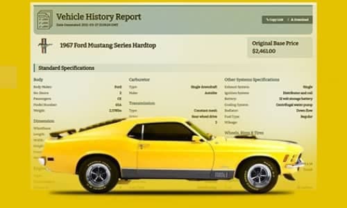 Vehicle History bg