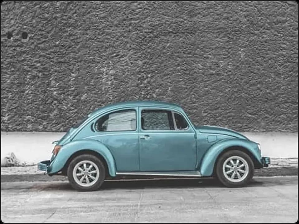 The Volkswagen Beetle